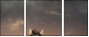 46097266