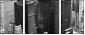 49412199
