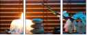 50934171
