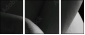 51083503