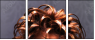 51430961