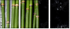 52100193