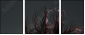 52116617