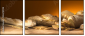 52670728