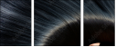 52931906