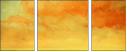 53049559