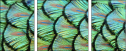53512479