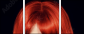 53895849