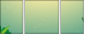 54070093