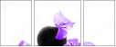 54154961