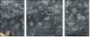 54405316