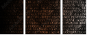 54969981