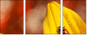 55820987
