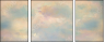56034634