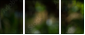 56795972