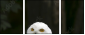 57060206
