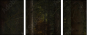 57861816