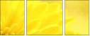 57915870