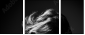 58705796