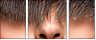 59175977