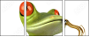 61064251
