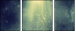 62549974