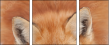 62758452