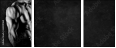 63490164