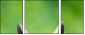 63805438