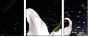 64347544