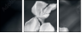 64479255