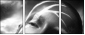65561483