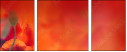 67251094