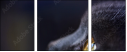 67261784