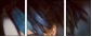 68796716