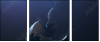 68921322
