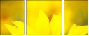70553705