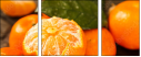 76269627