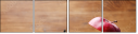 100068494