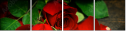 100197651