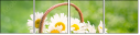 100224563