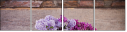 100248002