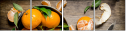 100395786