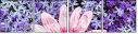 100402580