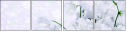 100410214