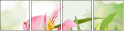100541576