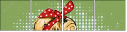 100848482