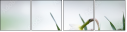 100937622