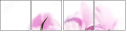 100964675