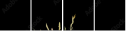10925882
